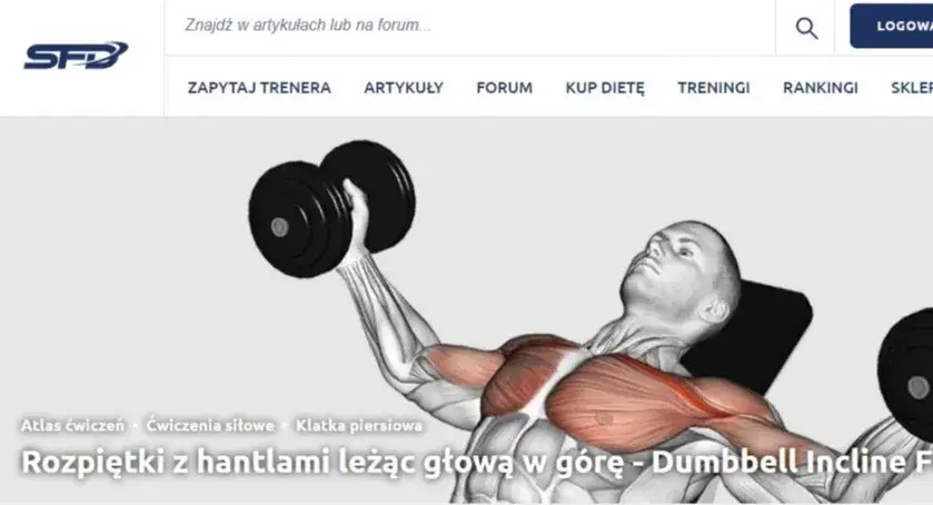 Zdjęcie Ile ćwiczeń na klatkę piersiową? Odkryj optymalne podejście dla siebie